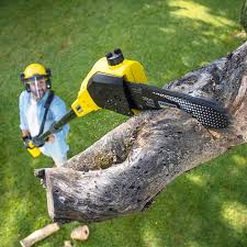 Best Pest Control for Lawns  in Cresaptown, MD